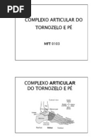Biomecanica Do Tornozelo e Pe