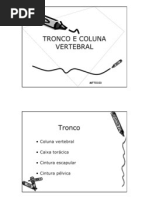 Biomecanica Do Tronco e Coluna