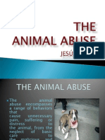 Animal Abuse