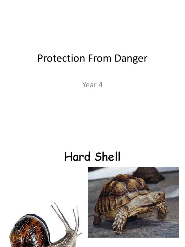 Protection From Danger | PDF