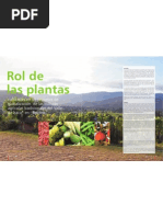 Rol de las plantas cultivadas en los procesos de globalización de las culturas agrícolas tradicionales del Valle de Iraca* en Boyacá