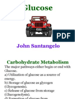 Glucose John Santangelo