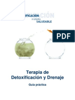 Pack DETOX - Laboratorios Heel