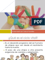 Ciclo Vital Individual 2