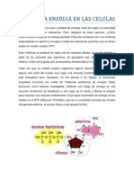 El Atp y La Energia en Las Celulas