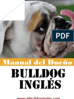 102311117 Libro de Bulldog Ingles