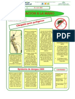 Boletin Publicitario