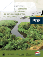 PT - Livro Sobre SA Na Amazônia 2010