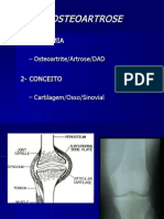 Osteo Art Rose