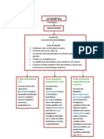 Cuadro Sinóptico Mendel y Sus Leyes