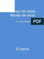 Manejo Del Estres y Enojo