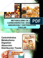 Metabolismo de Los Carbohidratos