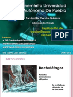 Bacteriofagos (LabViro)