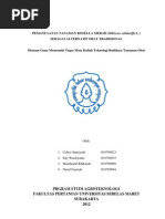 Koleksi Manfaat Bunga Rosella Untuk Kulit Wajah Laporan Koleksi Manfaat Bunga Rosella Untuk Kulit Wajah Laporan