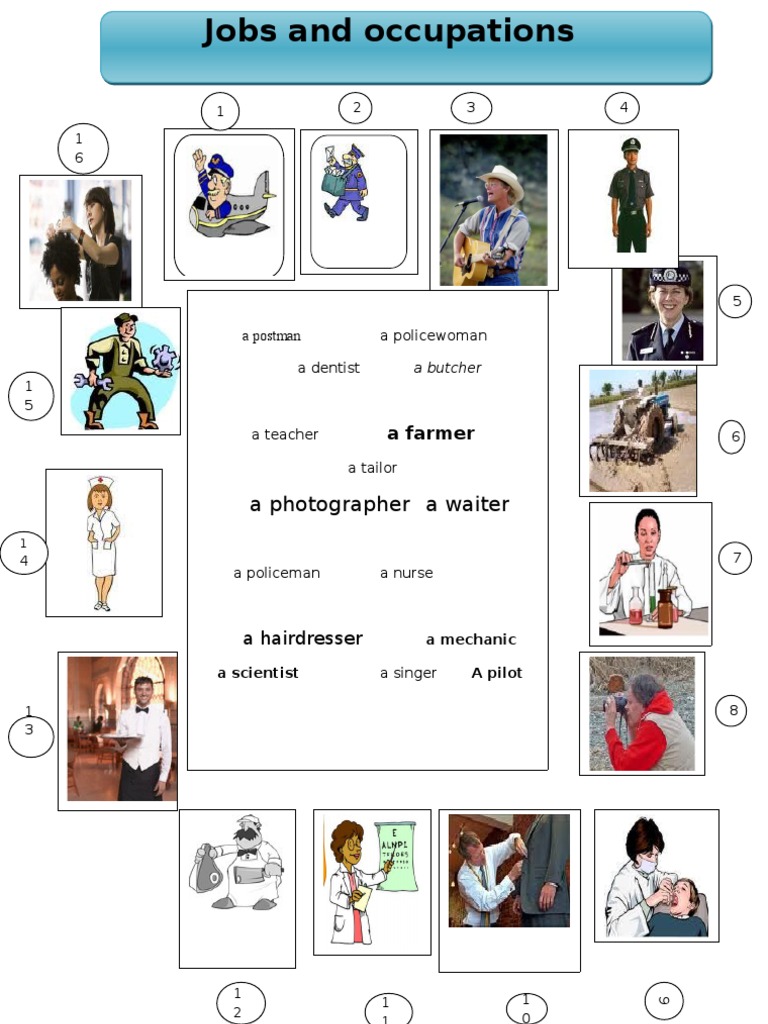 Jobs and Occupations Overview | PDF | Wellness | Science & Mathematics