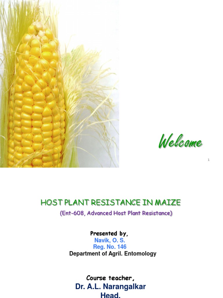 Host Plant Resistance in Maize | PDF | Protease | Maize