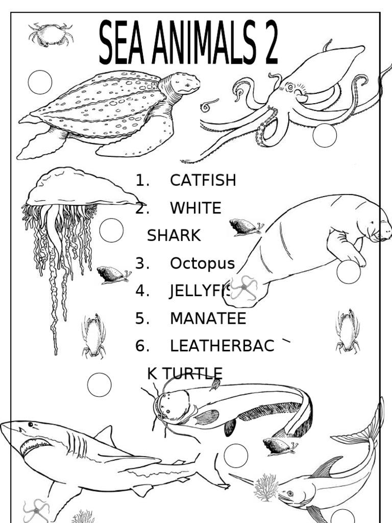 Sea Animals 2 | PDF