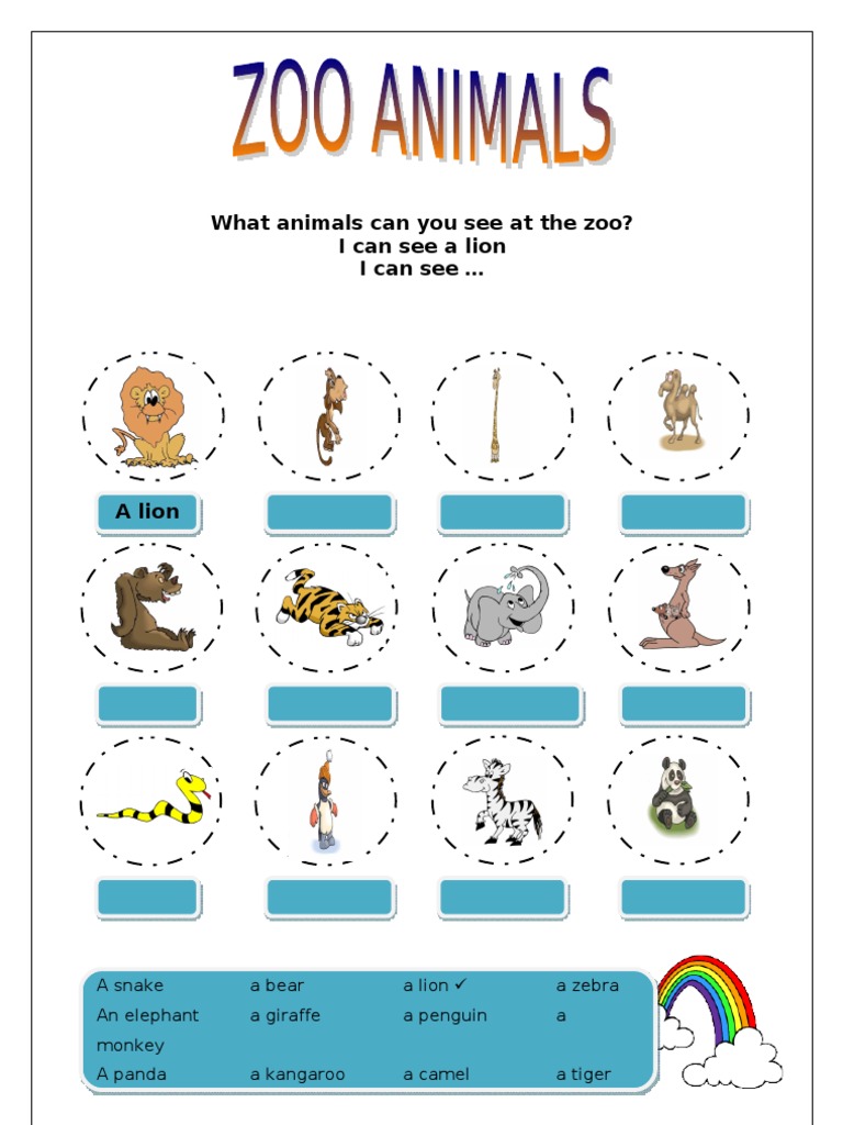 Zoo Animals | PDF | Organisms | Animals And Humans