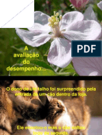 AA-O Cão e o seu Dono