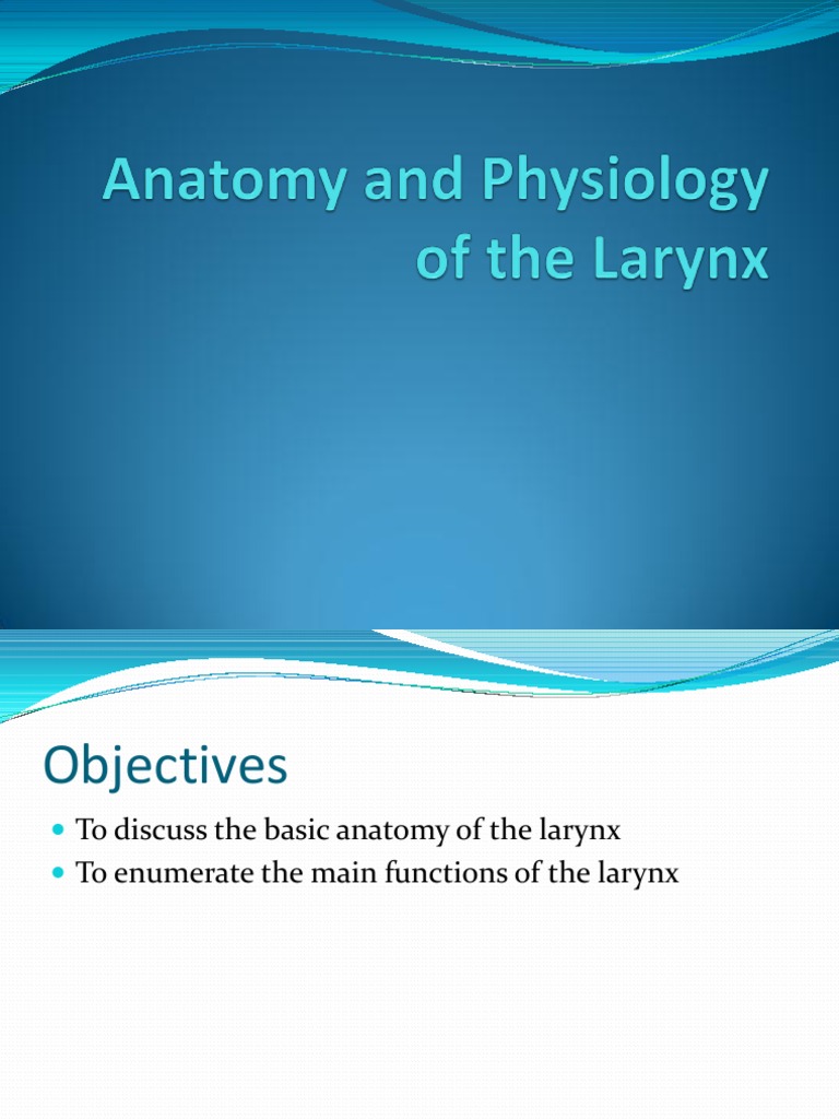 Anatomy and Functions of the Larynx | PDF | Larynx | Human Head And Neck