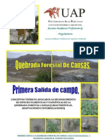 Cansas Ica Perú