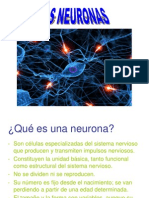 Las Neuronas Antonio