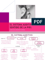 El Sistema Auditivo y El Sentido de La