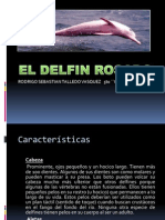 Características del delfín rosado en peligro de extinción