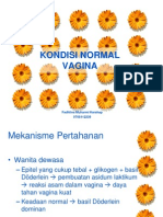 Kondisi Normal Vagina