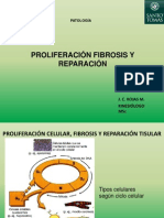 Clase 1.1. B  Proliferación fibrosis y reparación Patología UST KIN 2012