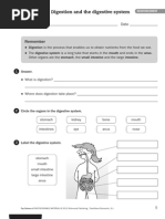 Download SCIENCE 4 SANTILLANA Refuerzo Ampliacion y Evaluacion by Susana Barral Lozano SN113072217 doc pdf