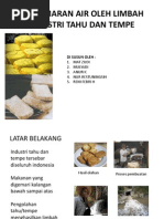 Download Pencemaran Air Oleh Limbah Industri Tahu Dan Tempe by Moel Tyas SN113073048 doc pdf