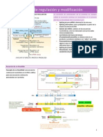 Niveles de Regulación y Modificación