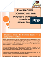 Prueba Dominio Lector