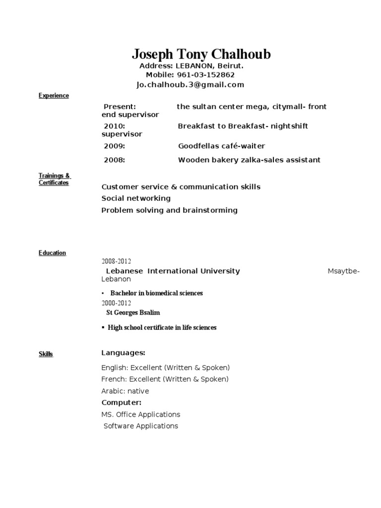 Joseph Chalhoub's Professional CV | PDF