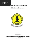 Study Pustaka Sindrom Klinefelter