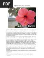 20 EXERCÍCIOS DE LÍNGUA PORTUGUESA