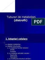 2.tulburari de Metabolism