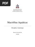 Estudo Dirigido 2 - Macrofitas