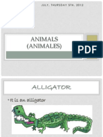 Animals (Animales) : July, Thursday 5Th, 2012