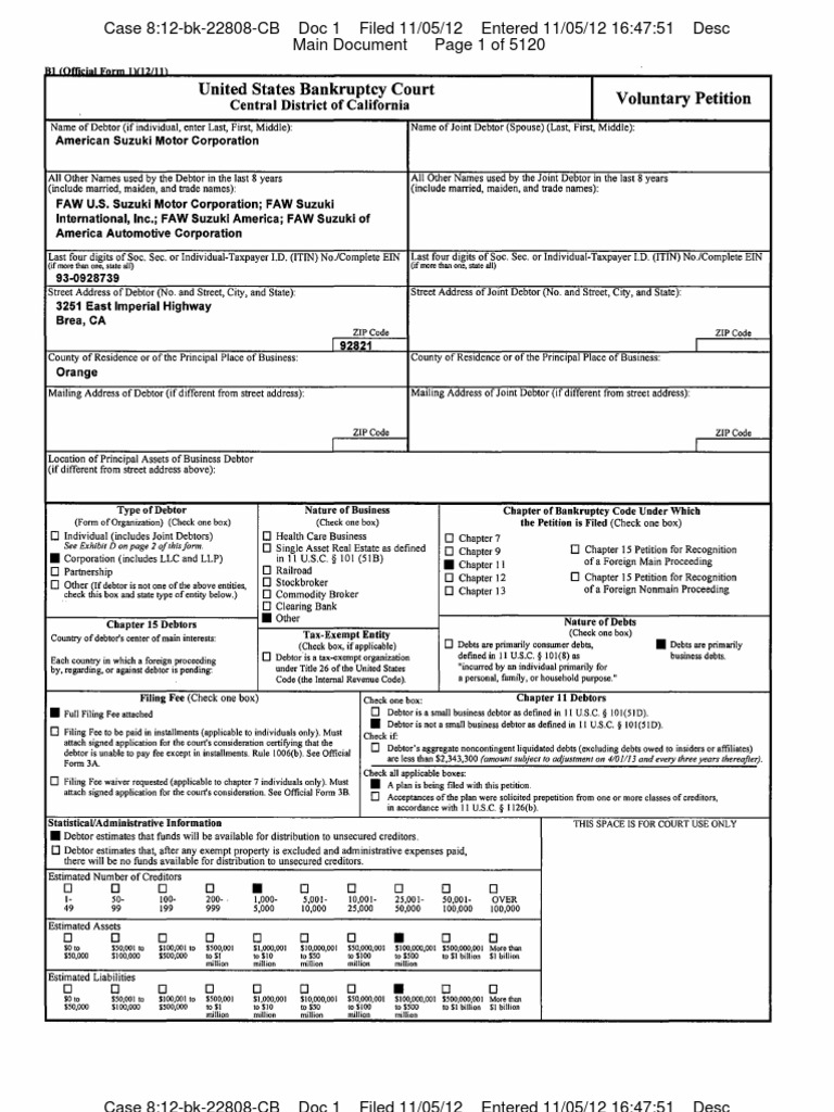Chapter 11 Bankruptcy