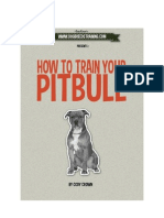 How To Train Your Pit Bull