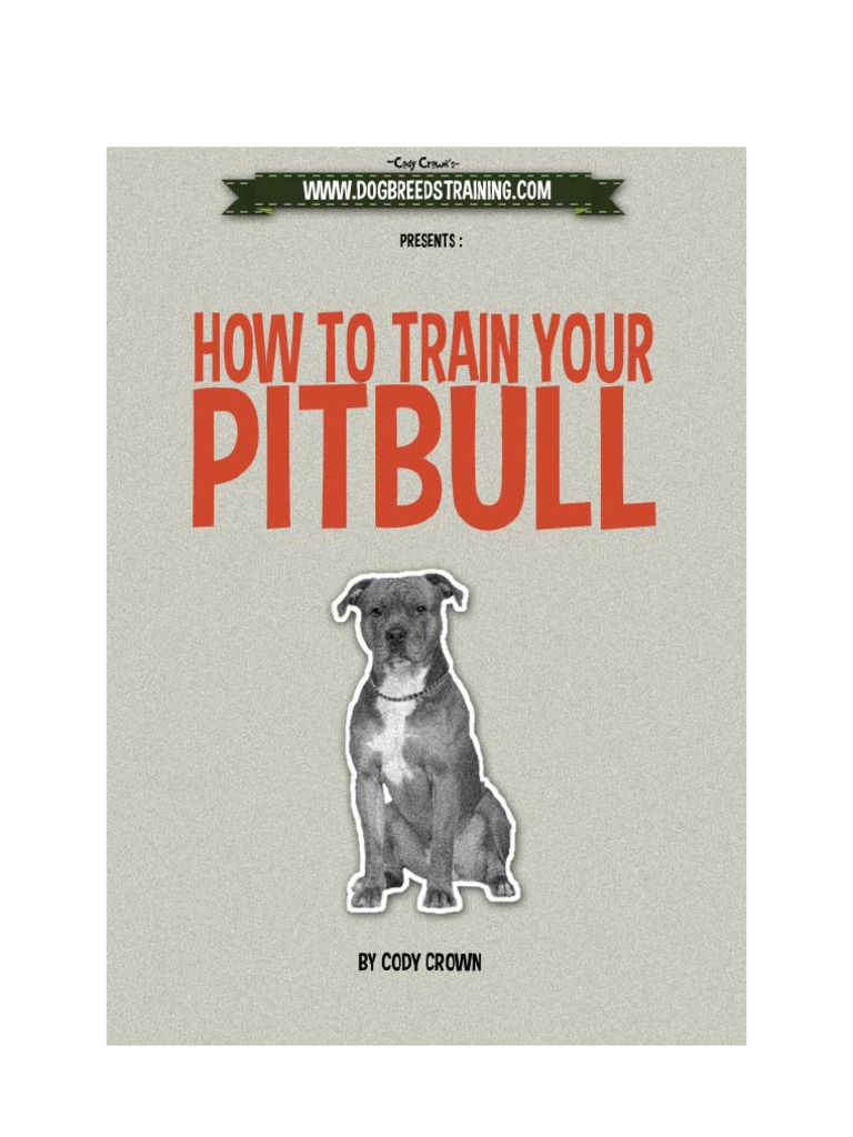 How To Train Your Pit Bull PDF Pit Bull Terriers
