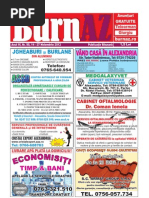 Download BurnAZ 14-27 Noiembrie 2012 by Ziar BurnAZ SN113203954 doc pdf