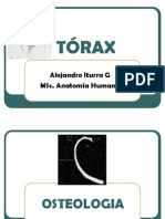 ToRAx_2010