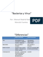 Bacterias y Virus