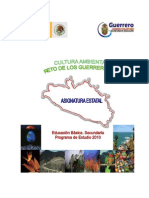 Guerrero Cultura Ambiental