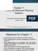 Enterprise Resource Planning Systems