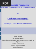 leishmaniose