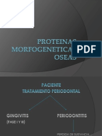 Proteinas Morfogeneticas